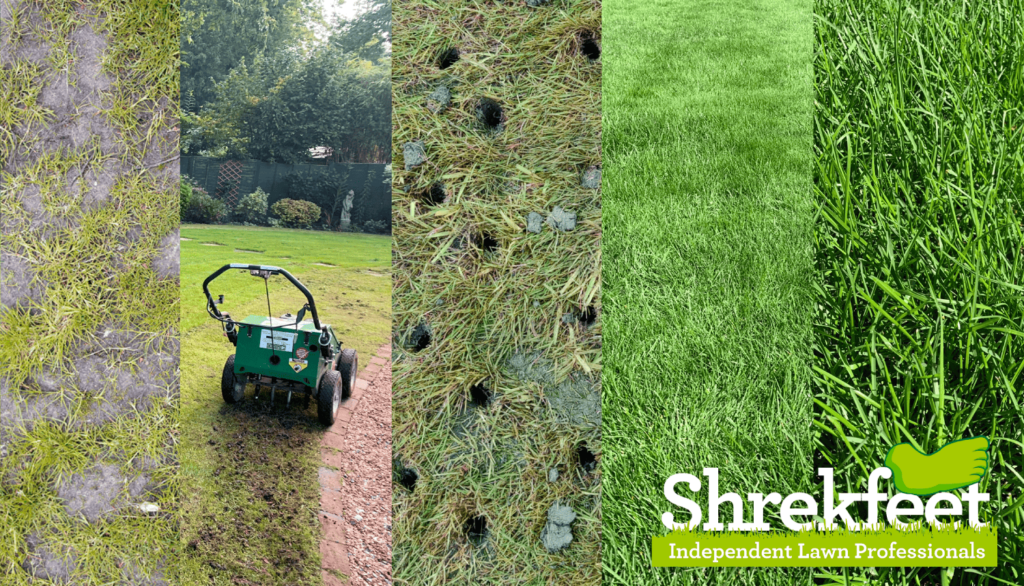 the process of lawn aeration for better lawn health