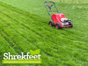 Professional lawn and soil aeration services