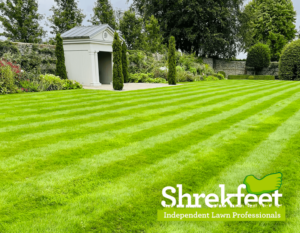 Lawncare Hampshire